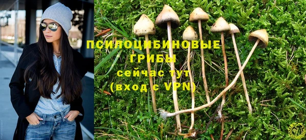 первитин Горно-Алтайск