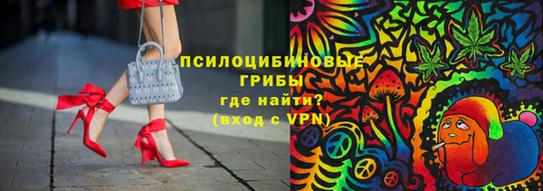ECSTASY Тында