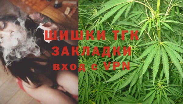мяу мяу мука Гусь-Хрустальный