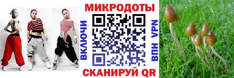 Галлюциногенные грибы Psilocybe  Зеленокумск 